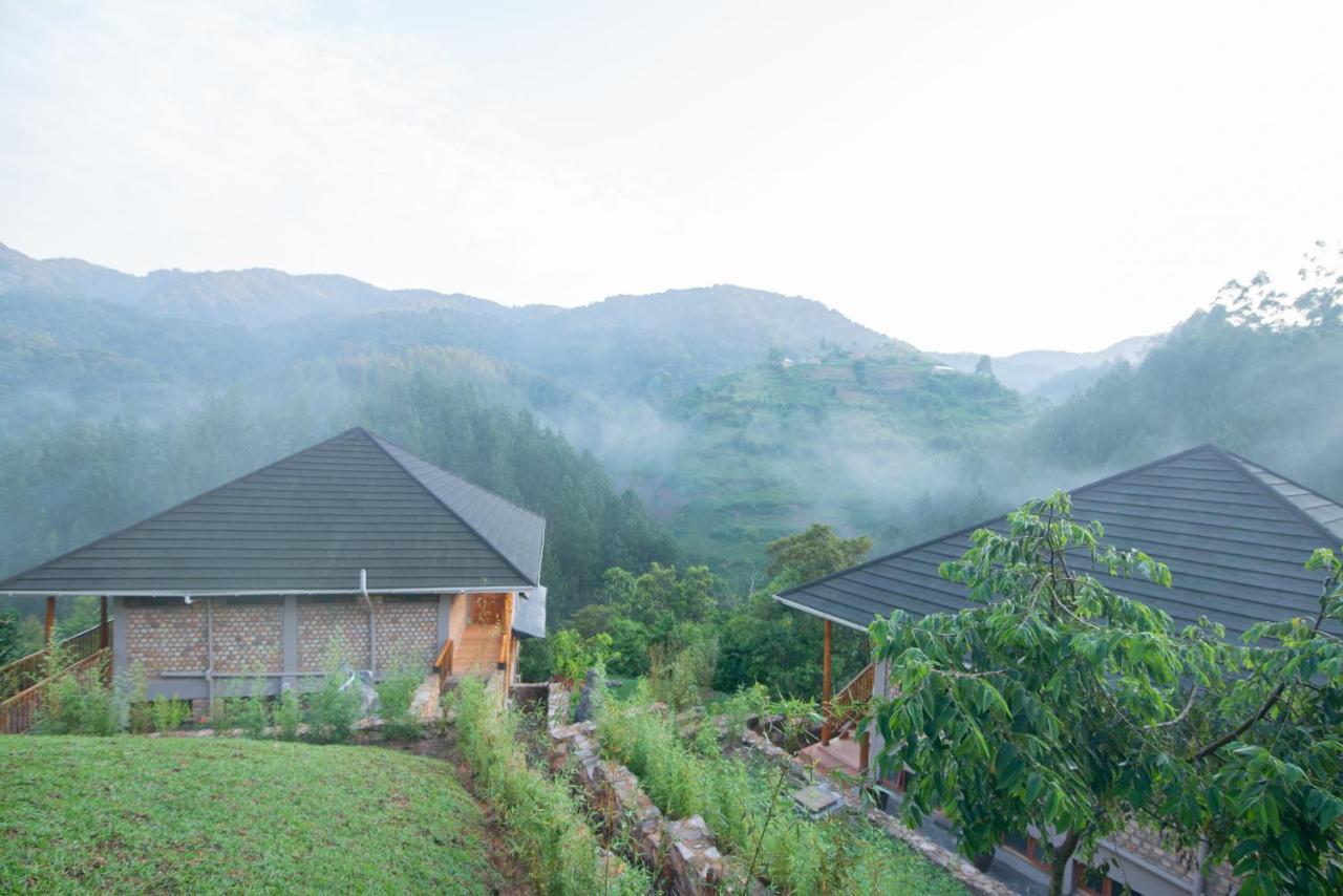 Gorilla Leisure Lodge Kisoro Buitenkant foto